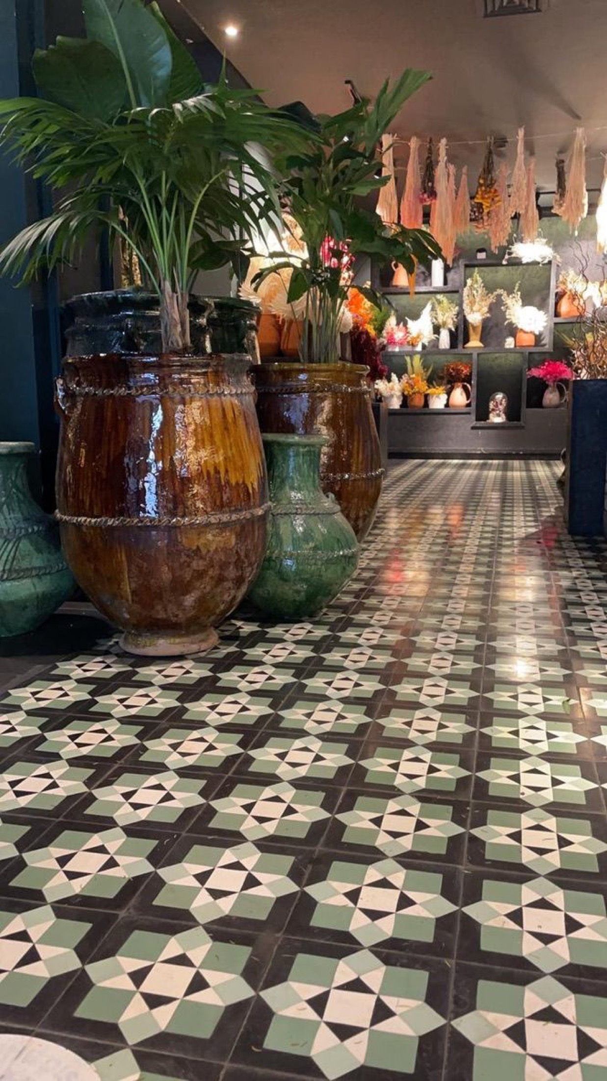 Green and black star-pattern cement tile floor with terracotta planters
